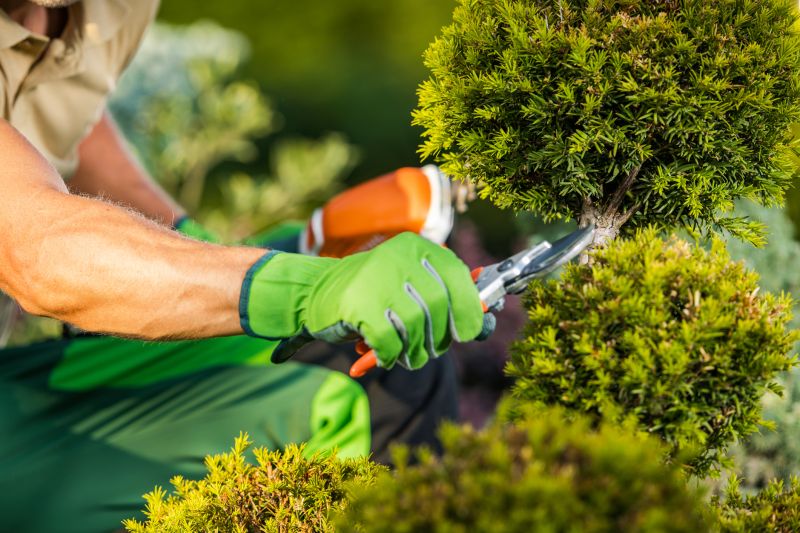 Landscape Trimming Service