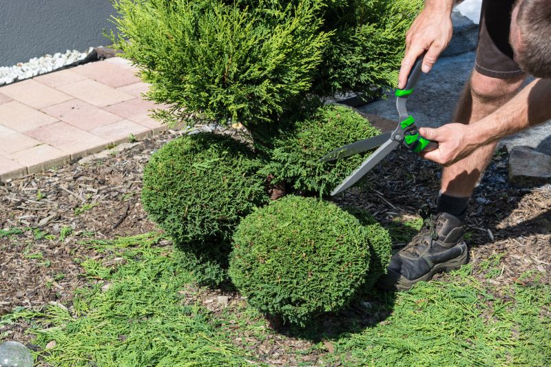 Trimming Bushes Along Pathways