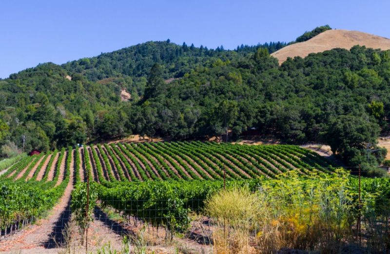 Local Climate Considerations